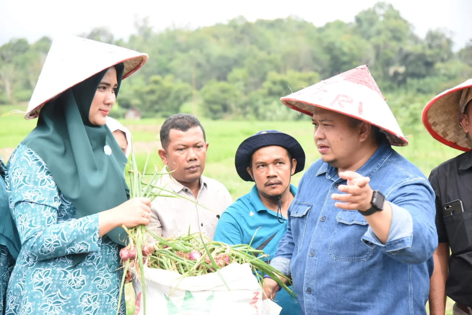 Bupati Tapsel Hadiri Panen Perdana Bawang Merah