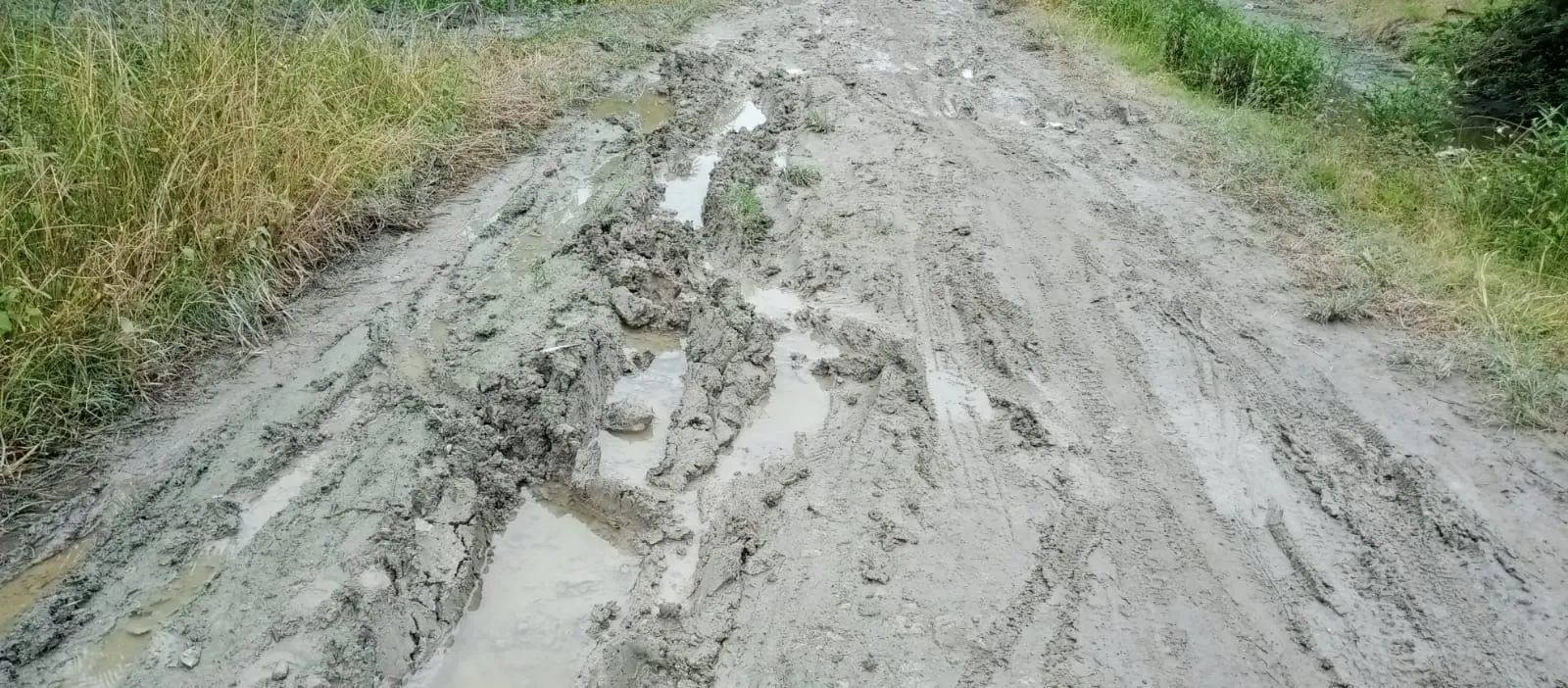 Mohon Pak Bupati , Jalan 6 Desa Kec. Nibung Hangus Diperbaiki