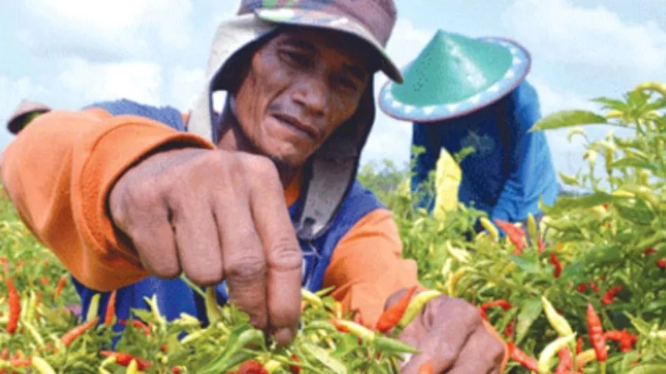 BI Dan TPID Sumut Perkuat Sinergi Kendalikan Inflasi