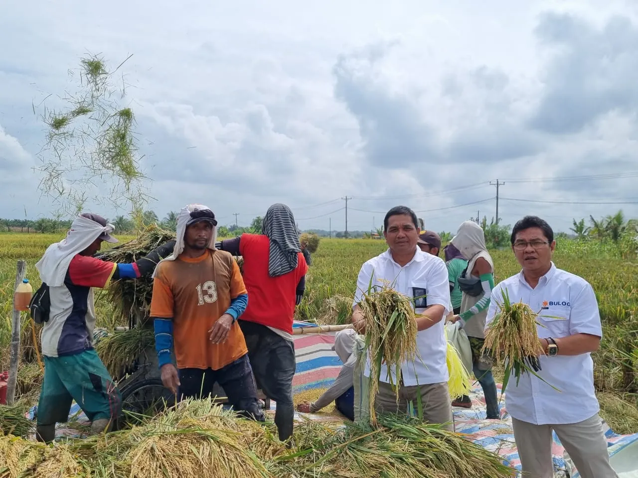 Beras Bulog Sumut Aman