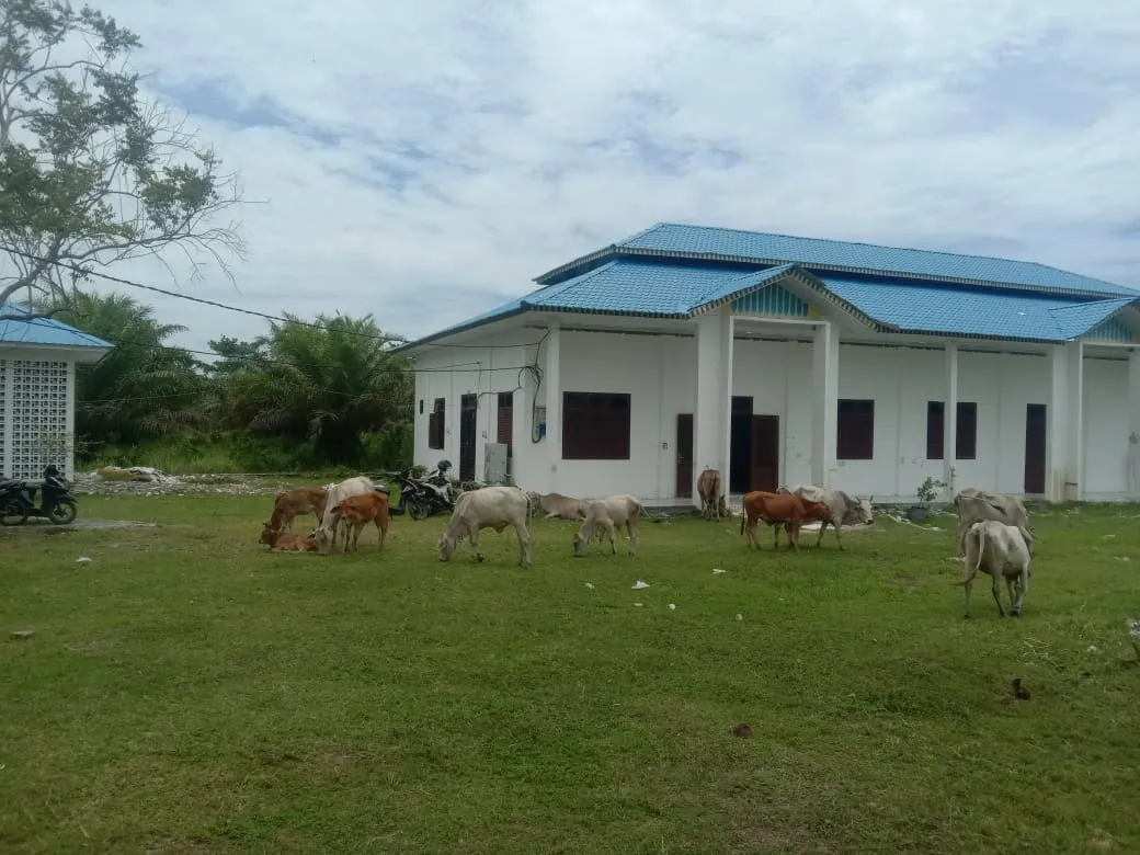 Kantor Disdik Batubara Dikuasai Lembu