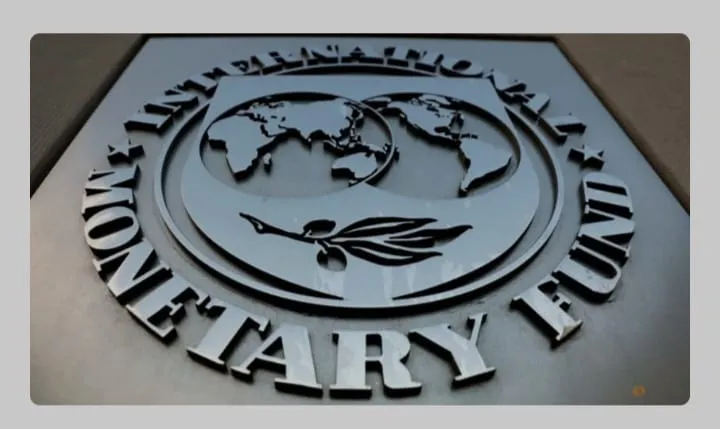IMF Perluas Bantuan Darurat Negara-Negara Dilanda Krisis Pangan
