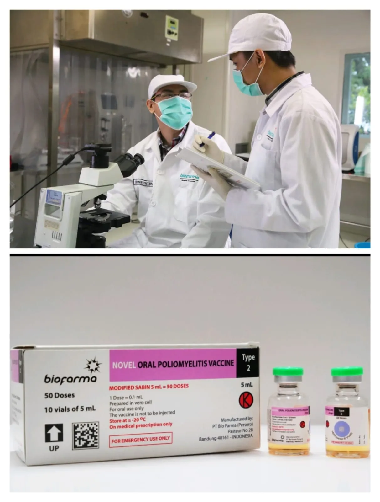 Bio Farma Ekspor Vaksin Polio (noPV2)