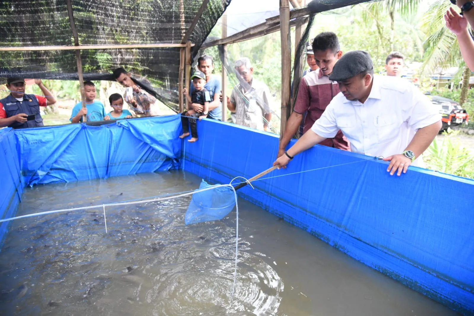 Tapsel Tingkatan Usaha Ikan Lele Dan Bebek Petelur Terintegrasi
