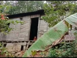 Teks foto: Nenek Salemah Nasution dan keluarga hidup di rumah sangat sederhana berdinding bambu.