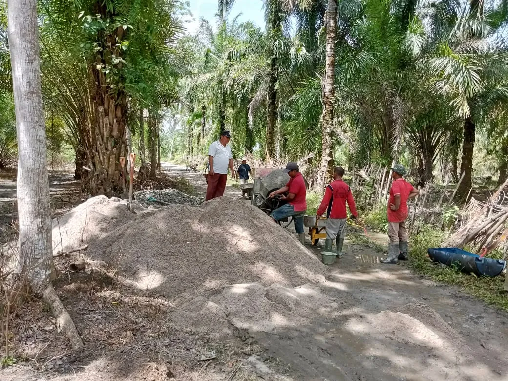 Anggota DPRD Asahan Salurkan Dana Porkir Ke Dusun I Desa Padang Mahondang