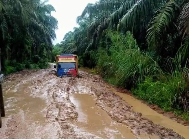 'Kubangan Kerbau' Di Batahan