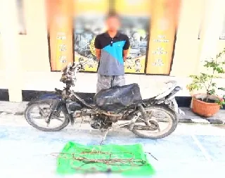 Maling Kambuhan Tertangkap Basah Polsek Labuhan Ruku