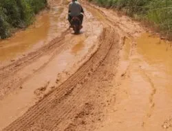 Waspada/istJalan rusak parah kawasan Banuatonga, Kec. Muara Batanggadis, Kab. Madina, yang menyulitkan masyarakat.