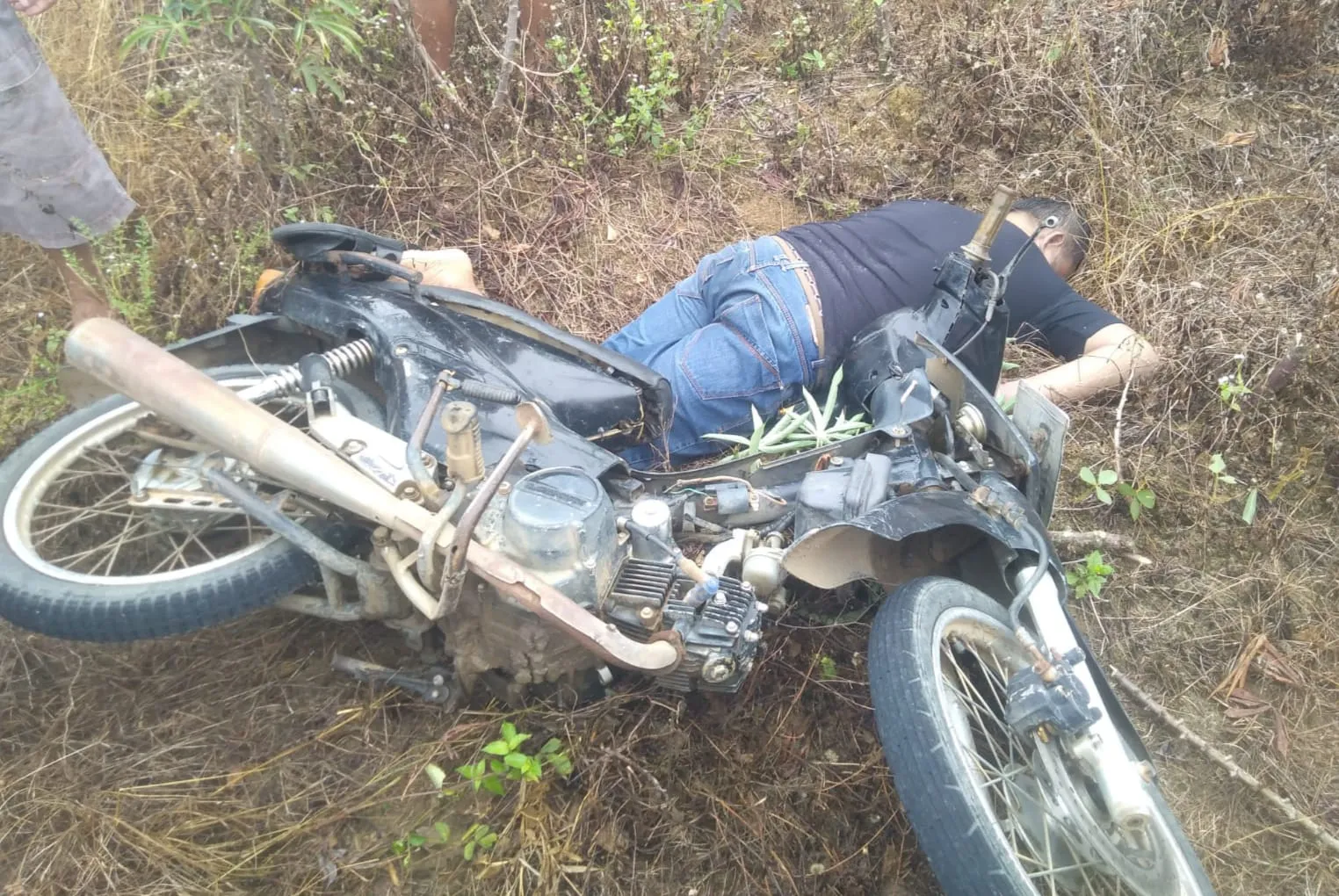 Warga Cempedak Lobang Ditemukan Meninggal Di Kebun Ubi