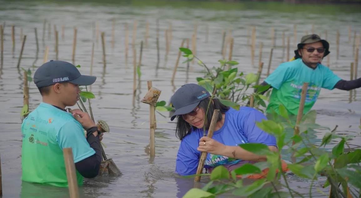 Biofarma Group Tanam 5.500 Bibit Mangrove