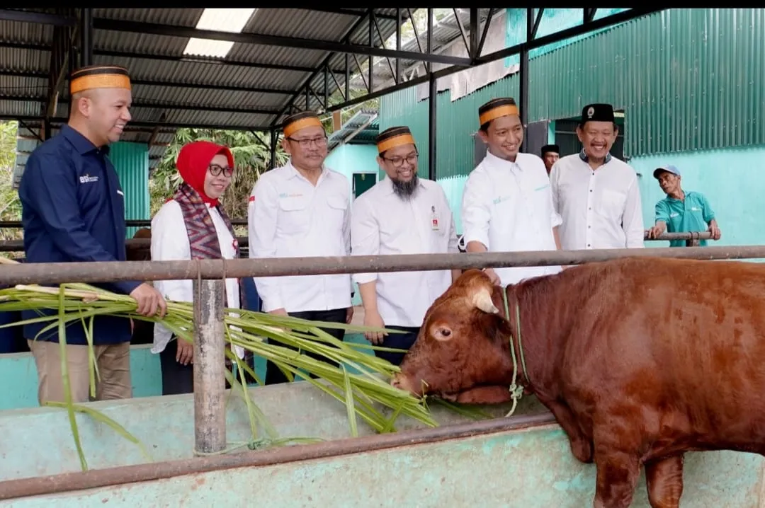 BSI Dukung Parangbanoa Angkat Potensi Peternakan Sapi Potong