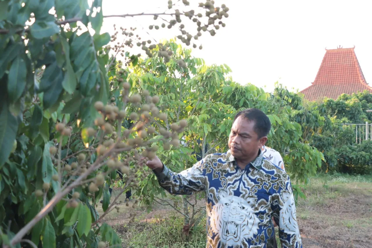 Bupati Sergai Melihat Potensi Kebumen, Jawa Tengah