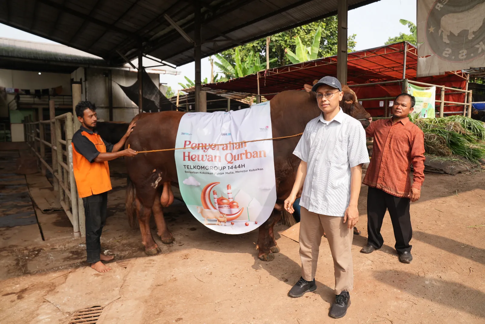 TelkomGroup Salurkan 1.091 Hewan Kurban ke 7 Regional di Indonesia