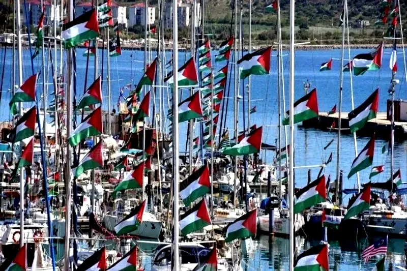 AWG Kecam Israel Penangkapan Aktivis dan Jurnalis Global Sumud Flotilla