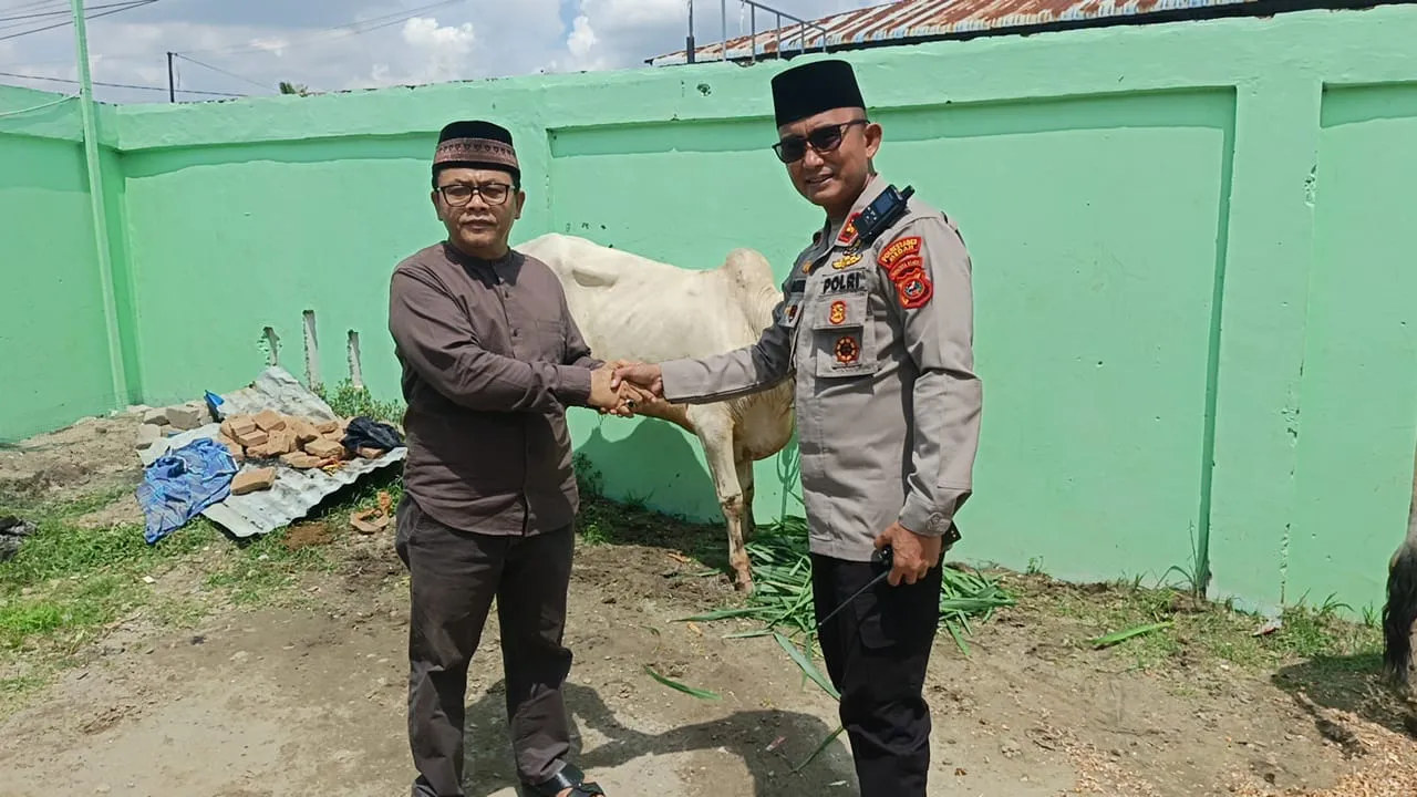 Kapolrestabes Medan Serahkan 1 Ekor Hewan Kurban Kepada GSN Sumut