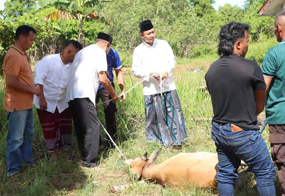 Hari Pertama Idul Adha Polres Aceh Singkil Kurban 6 Ekor Sapi