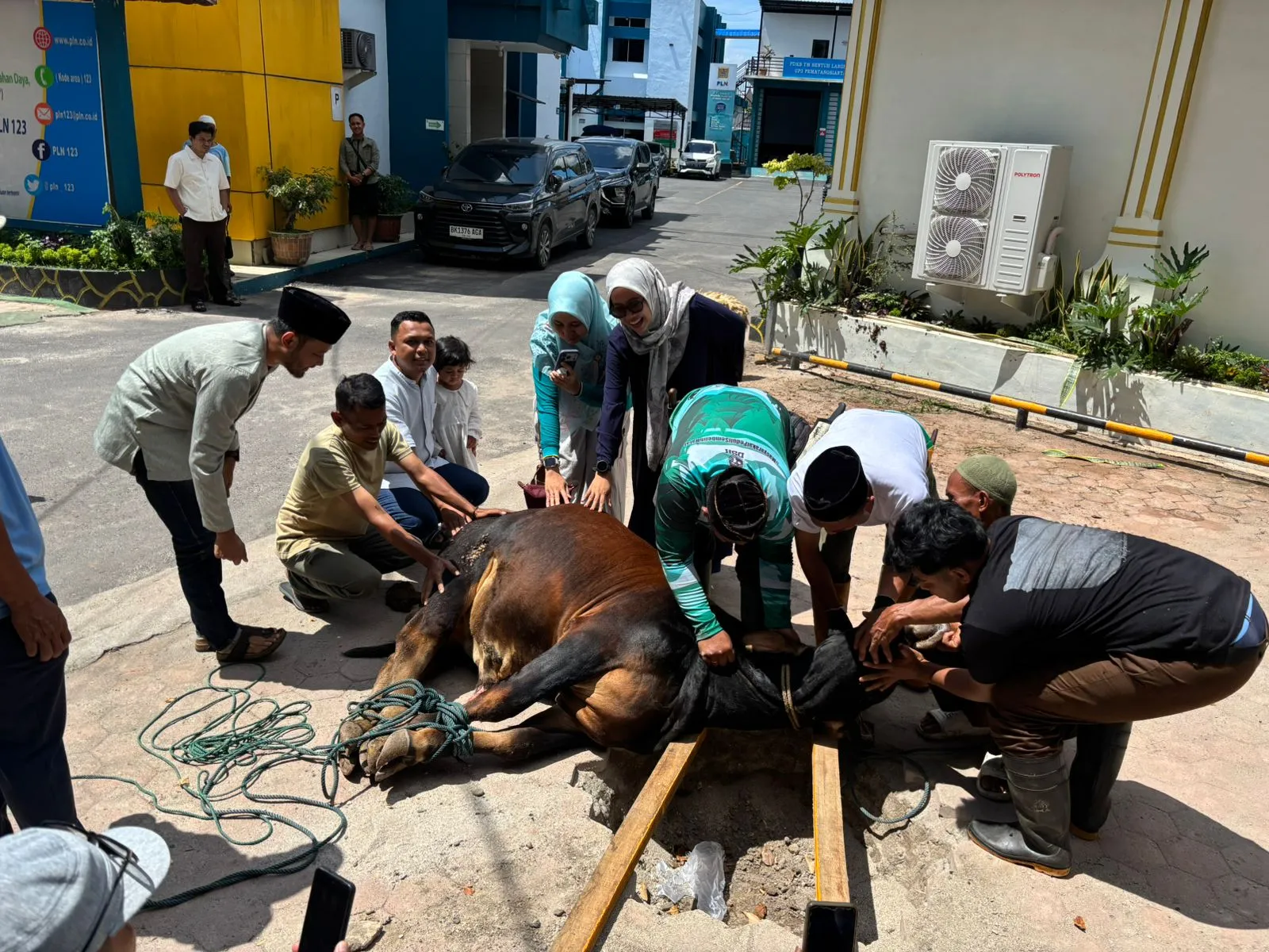 PLN UP3 Pematangsiantar Laksanakan Pemotongan Hewan Qurban Idul Adha 1447 H