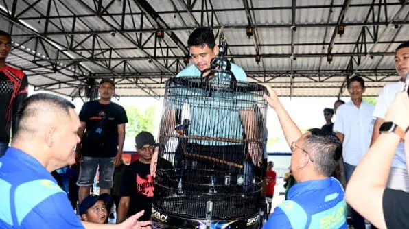 Bobby Nasution Dorong Sumut Jadi Pusat Kicau Mania Nasional