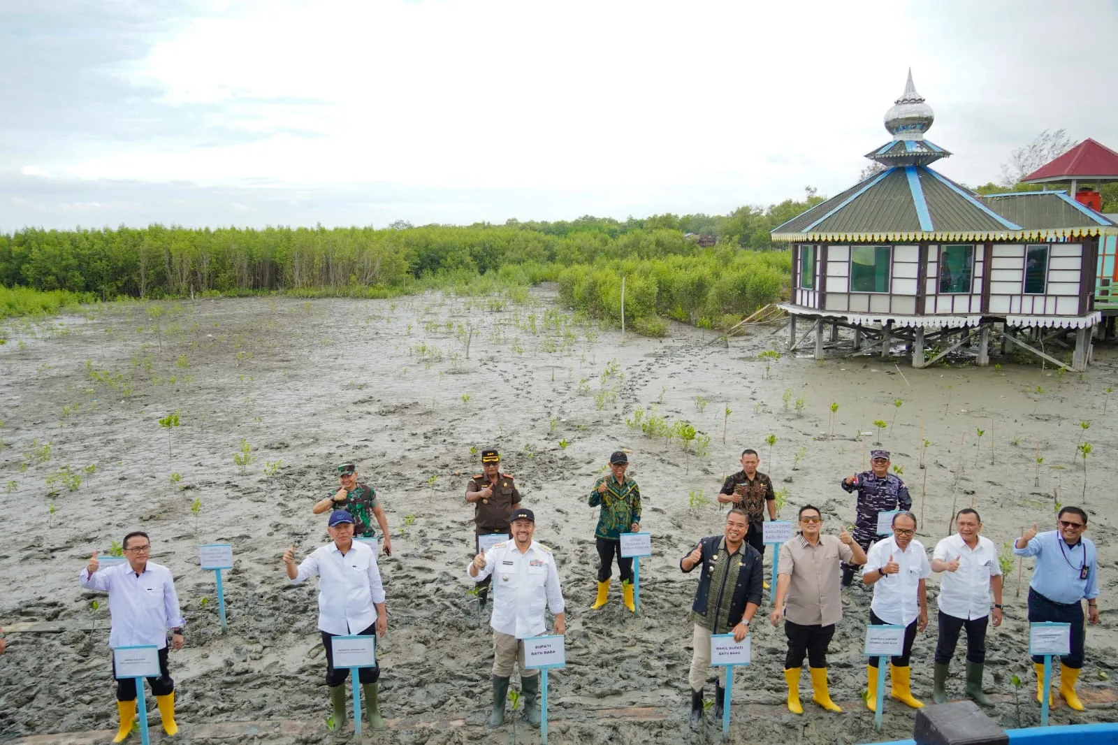 Cegah Abrasi Pantai, Bupati Batubara Tanam Mangrove Dikawasan Pantai