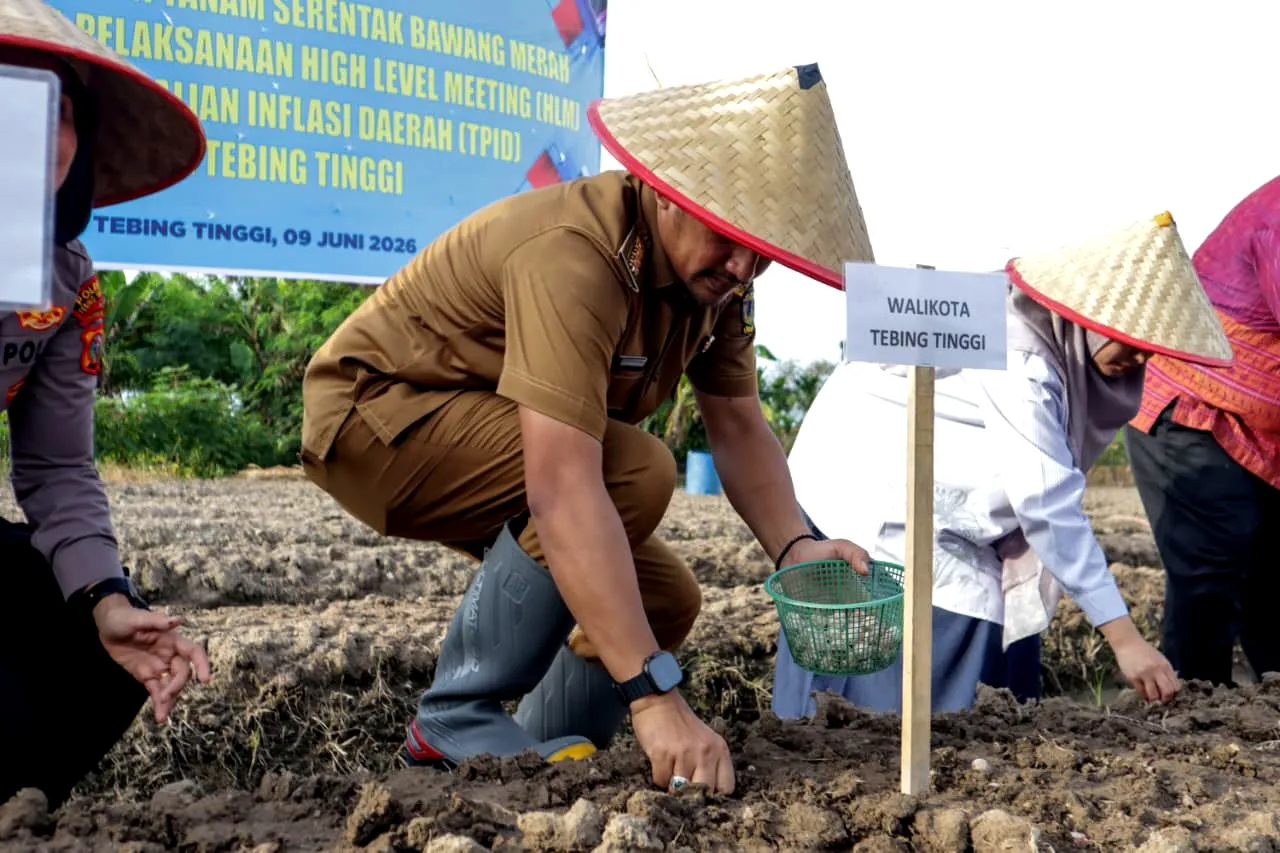Wali Kota Tebingtinggi Pimpin Tanam Bawang Merah