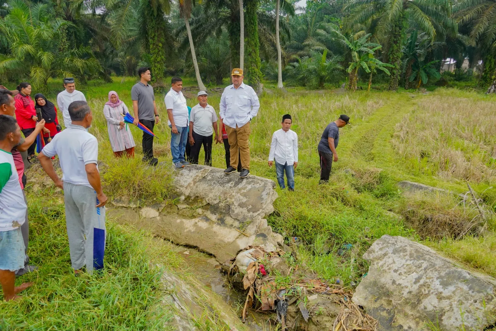 Bupati Batubara Tinjau Irigasi, Tingkatkan Produktivitas Lahan Pertanian