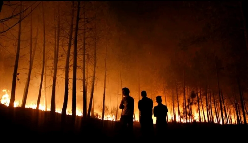 Kebakaran Hutan Hebat Landa Prancis Barat Daya, Lebih dari 10.000 Orang Dievakuasi