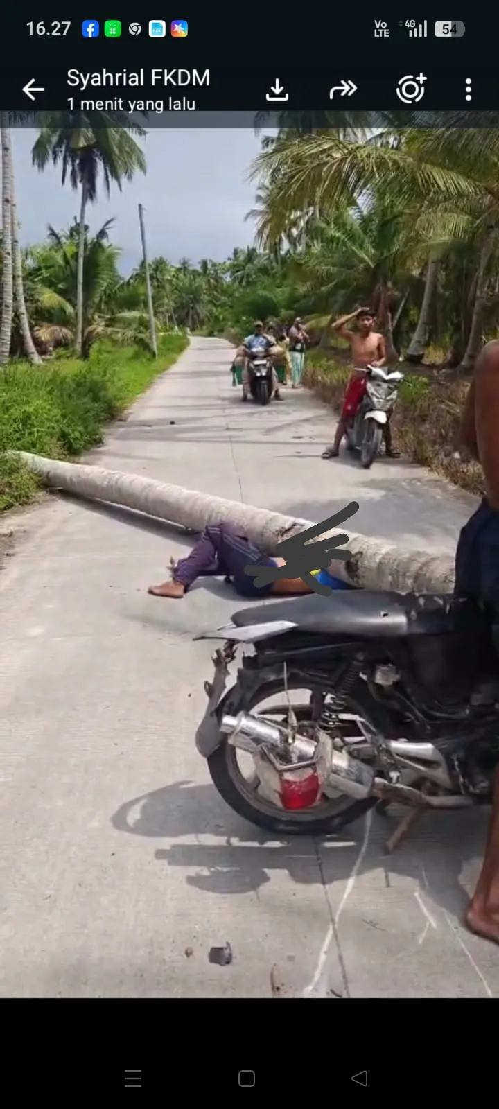 Pohon Kelapa Tumbang di Nibung Hangus, Seorang Warga Meninggal Dunia