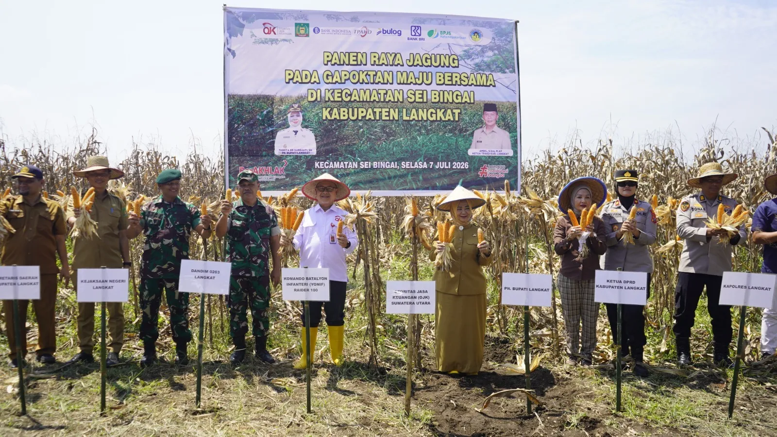 OJK Sumut Dorong Klaster Kemitraan Jagung Langkat