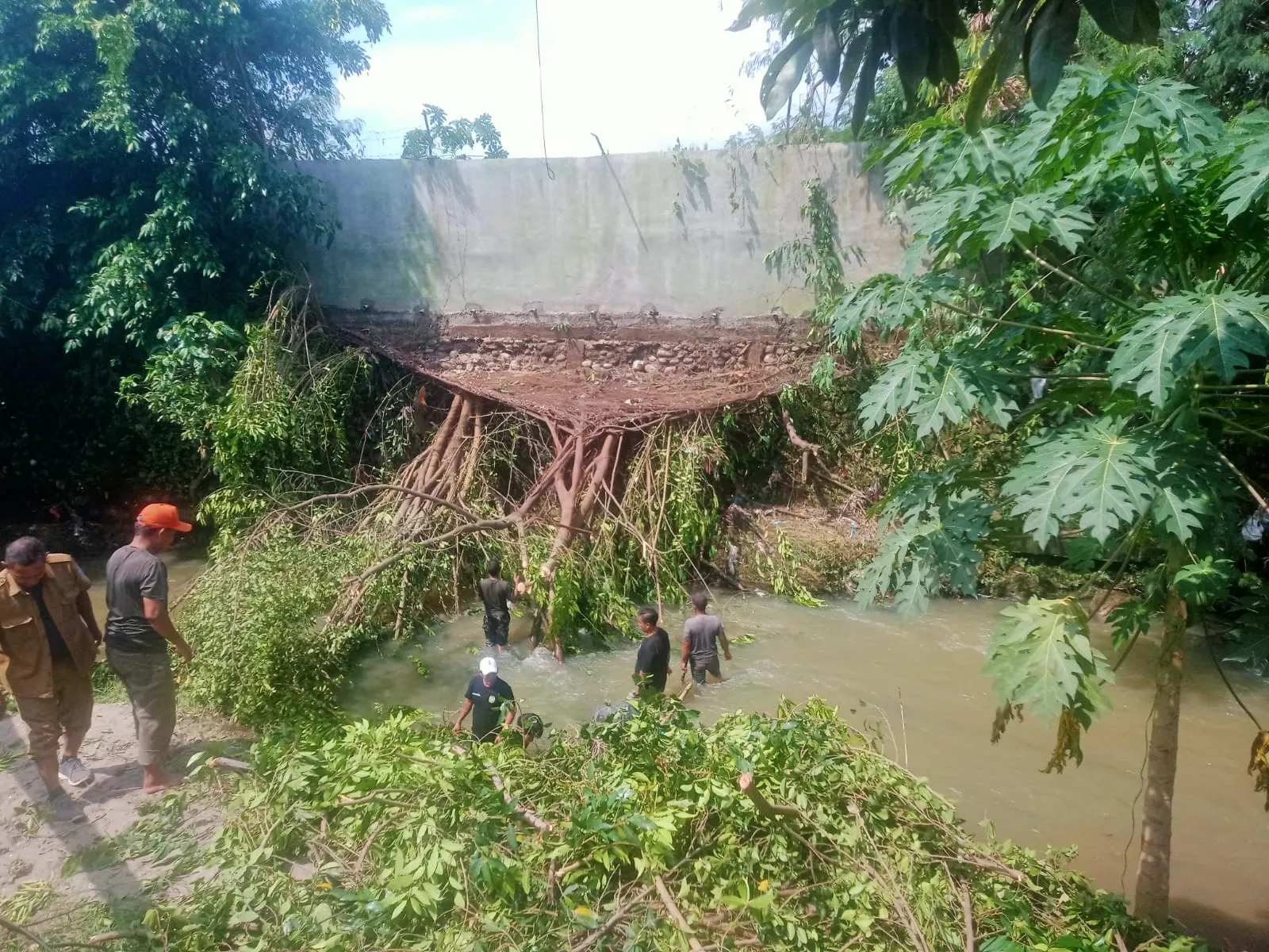 Cegah Banjir, Kades Paya Geli Bersama Warga Potong Pohon Tumbang di Sungai Tengkorak