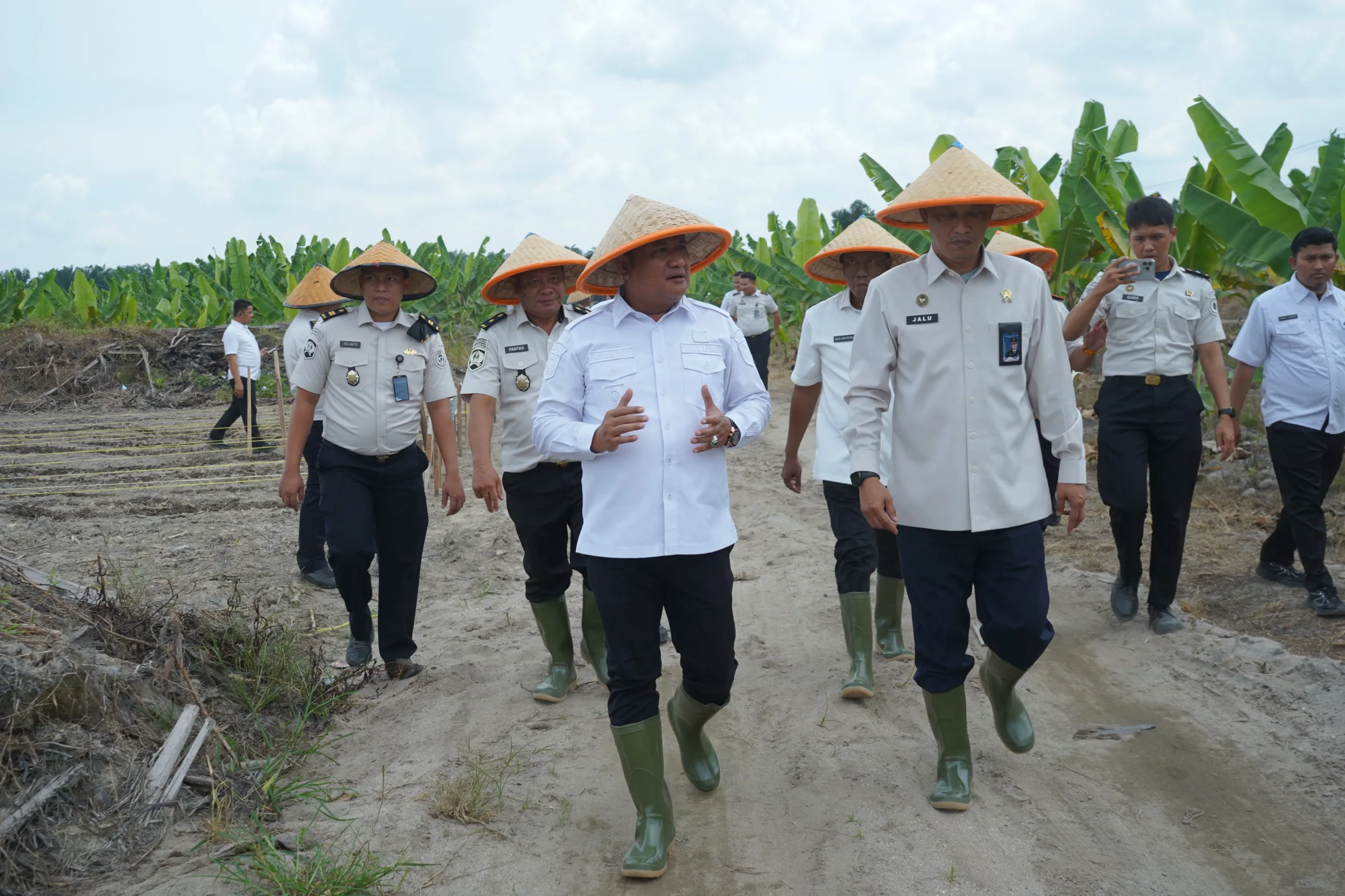 Wabup Asahan Dukung Program Ketahanan Pangan Lewat Penanaman Jagung di Lahan Eks HGU PT BSP