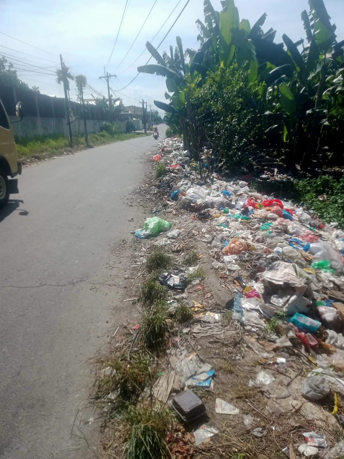 Bau Tak Sedap dari Tumpukan Sampah Liar Resahkan Warga Paya Geli
