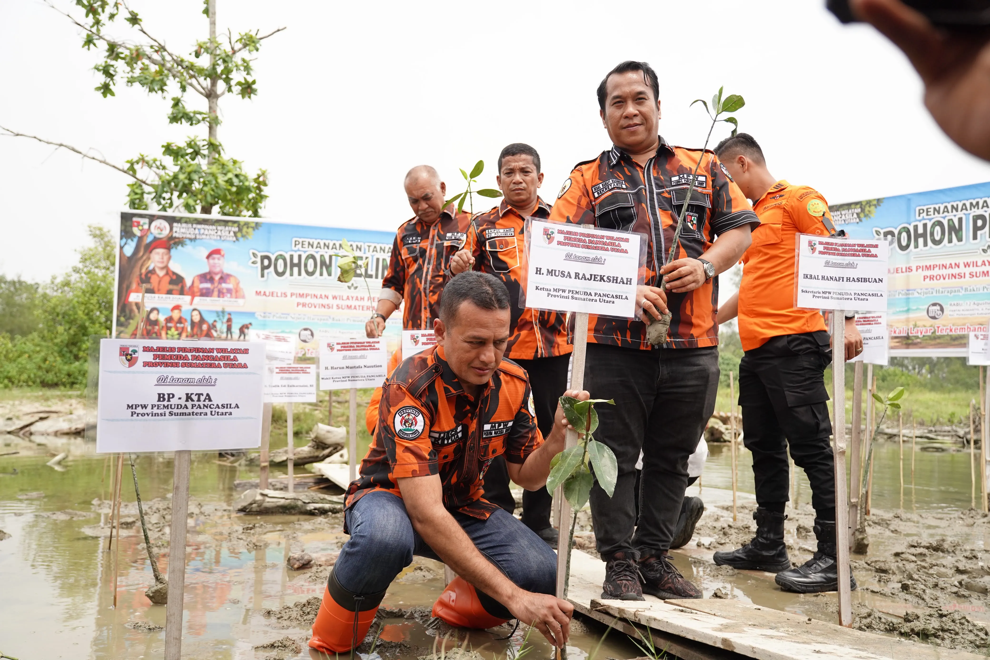Ijeck Pimpin Tanam 2.000 Pohon di Pantai Romantis Sergai, Ingatkan Bencana Akibat Kerusakan Alam