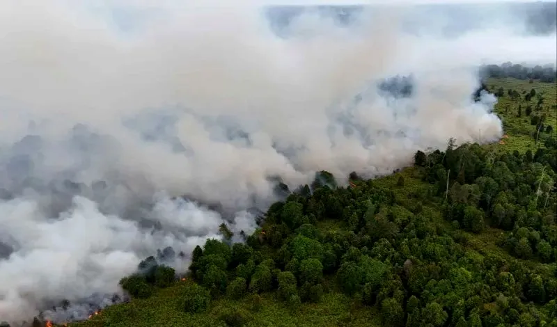 El Nino Menguat, Risiko Banjir dan Kekeringan Meningkat