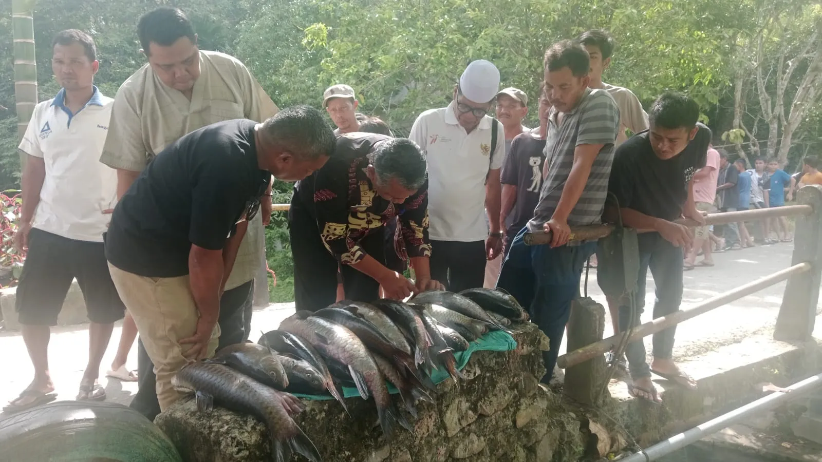 Dinas Perikanan Madina Larang Warga Konsumsi Ikan Jurung Mati Mendadak di Tambangan