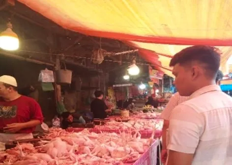 KPPU Kanwil I Awasi Rantai Pasok Ayam Seiring Meningkatnya Aktivitas MBG