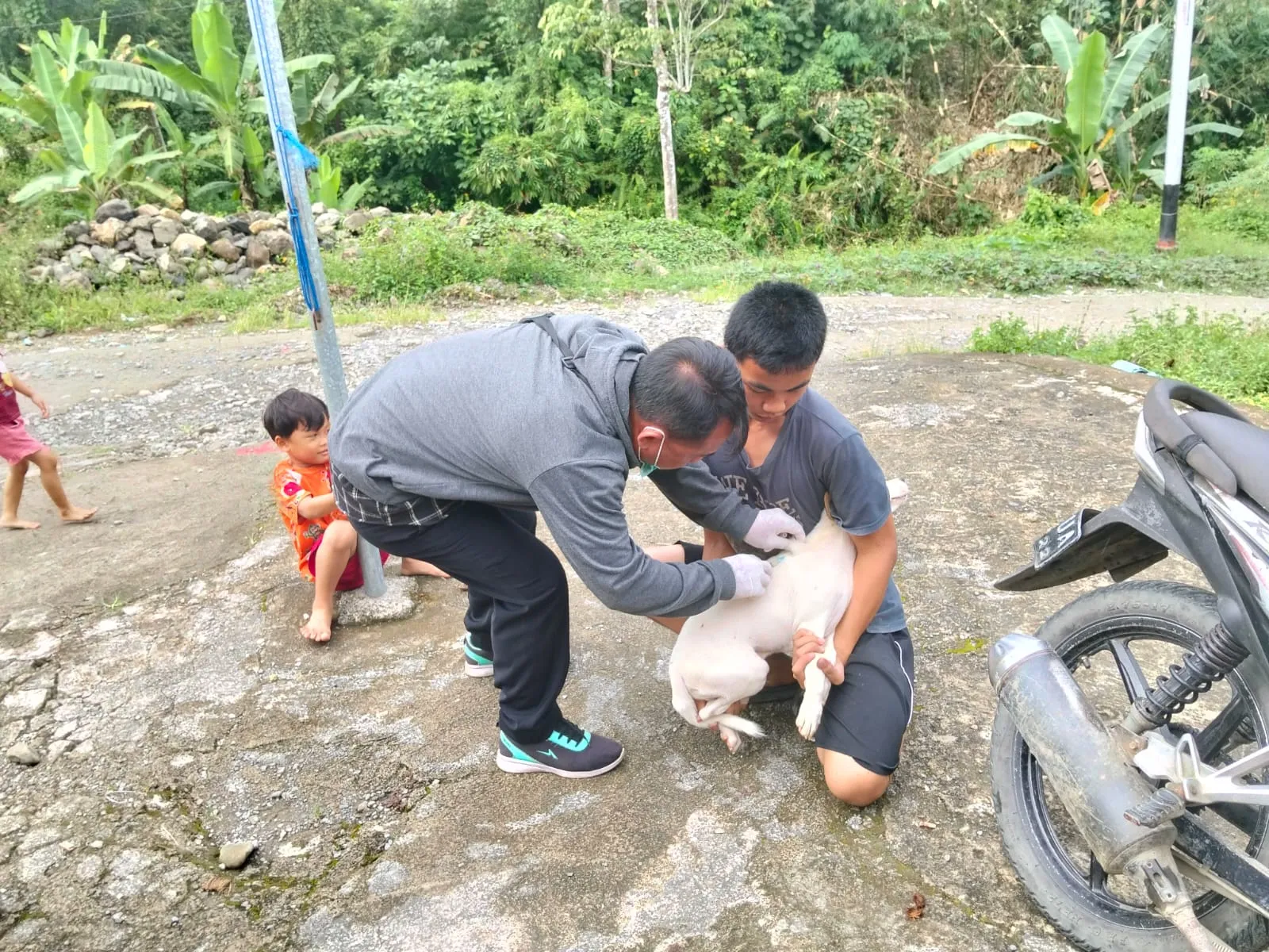 DKPP Nias Barat Laksanakan Vaksinasi Rabies Gratis Terhadap Hewan Penular