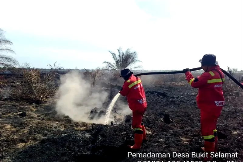 454 Hektare Lahan Karhutla 6 Provinsi Telah Padam