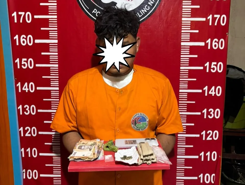 Satresnarkoba Polres Madina Amankan Pria Bawa Sabu dan Ganja di Kelurahan Longat