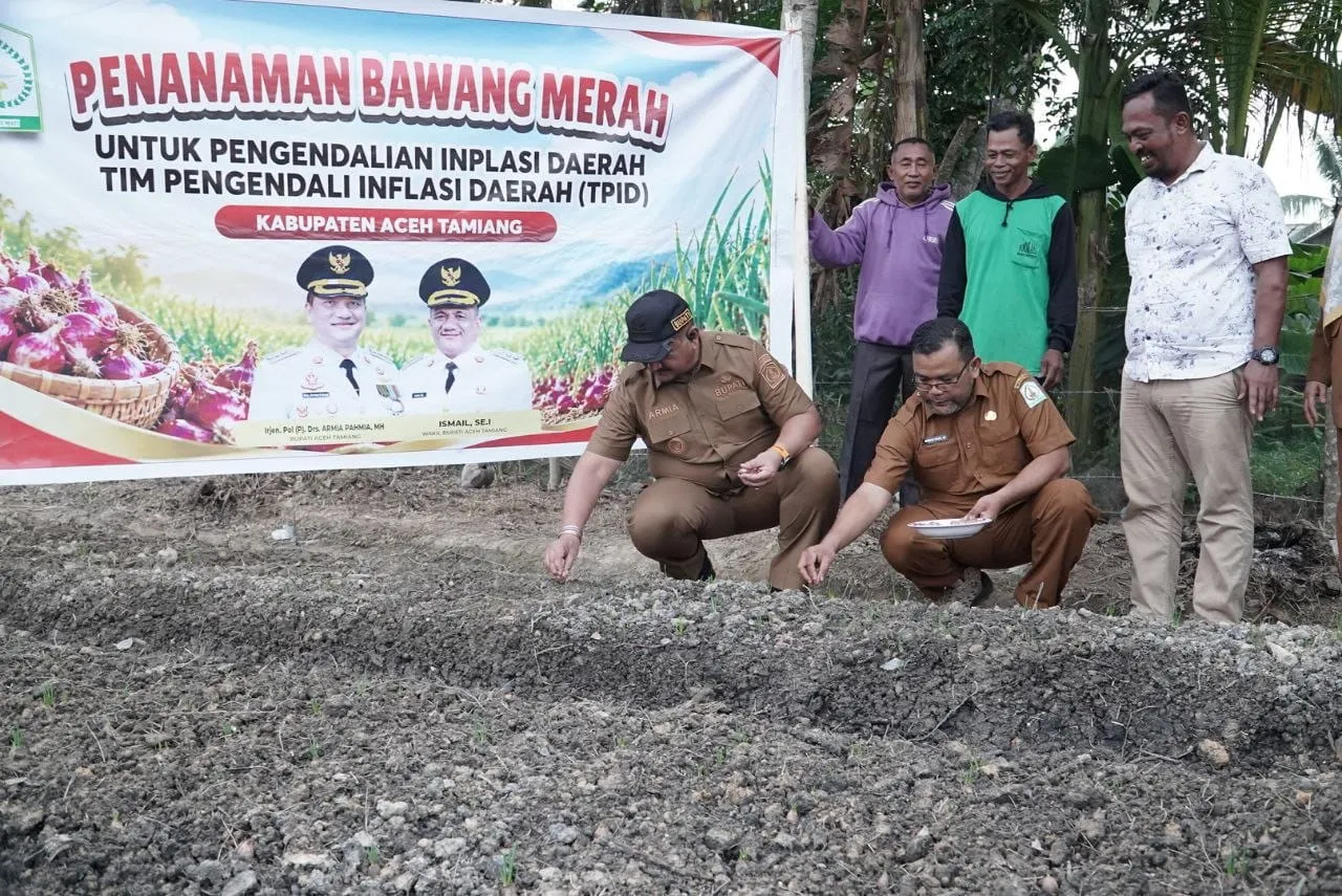 Bupati Aceh Tamiang Tanam Bawang Merah di Lahan 2 Hektare Bersama Petani