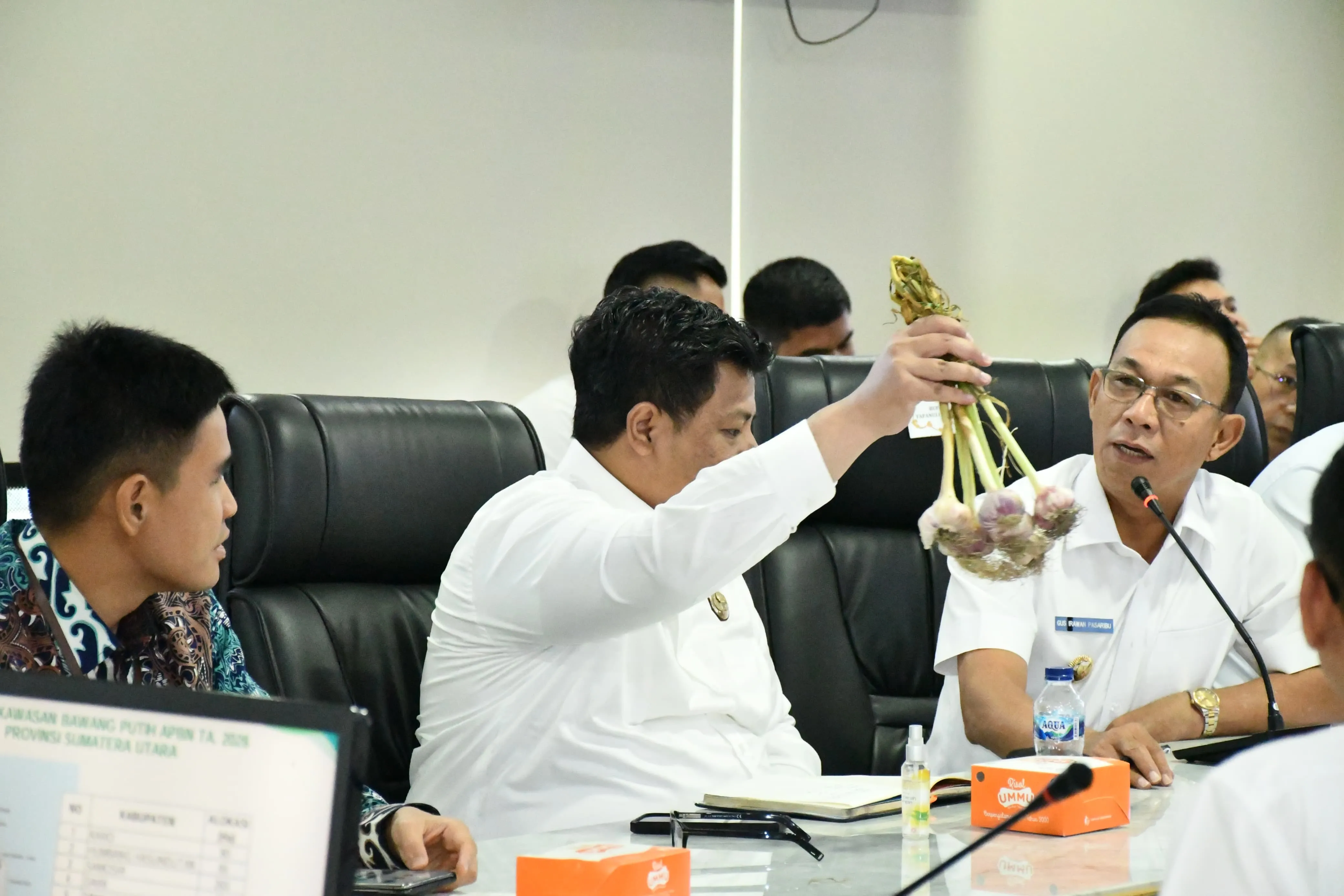 Samosir Siap Jadi Sentra Nasional, Target Perluasan Bawang Putih hingga 2.000 Hektare