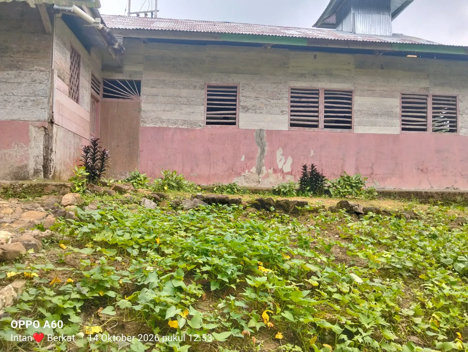 TMMD ke-130 Kodim 0213/Nias Kebut Rehab Gereja Katolik di Desa Siofabanua