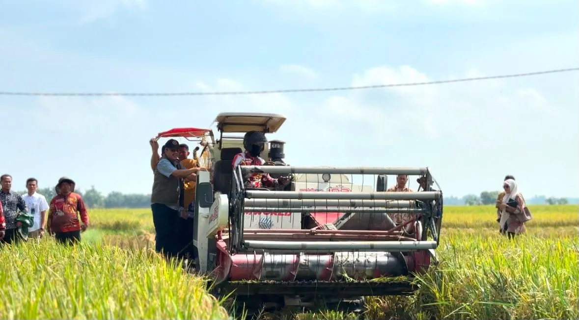 Bulog Cetak Rekor Pengadaan Beras Di Atas 4 Juta Ton, Sumut Optimis Capai Target Penyerapan