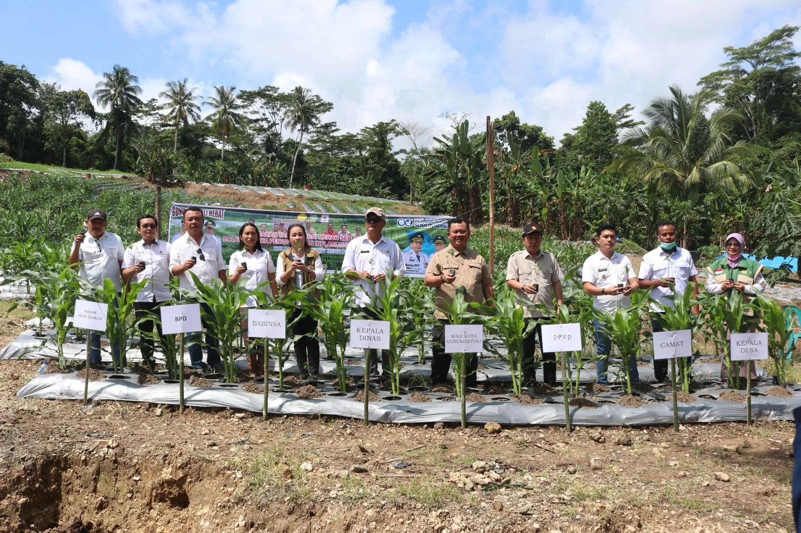 Pemko Gunungsitoli Dorong Peningkatan Produksi Cabai Merah