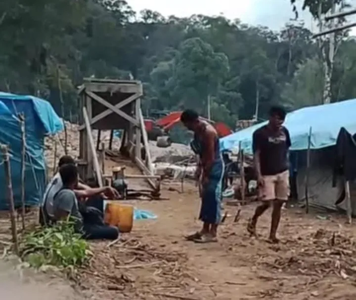 Wilayah TNBG di Mandailing Natal Dijarah Penambang Ilegal Dari Sumatera Barat