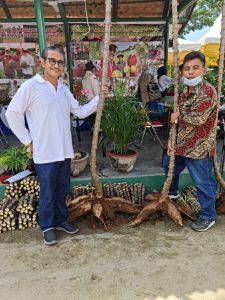 PT. Socfindo Undang Menteri BUMN Resmikan Taman Herbal