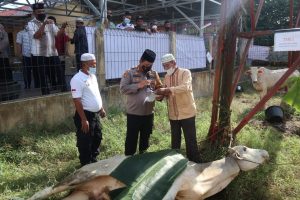 Polres Batubara Sembelih 10 Hewan Qurban
