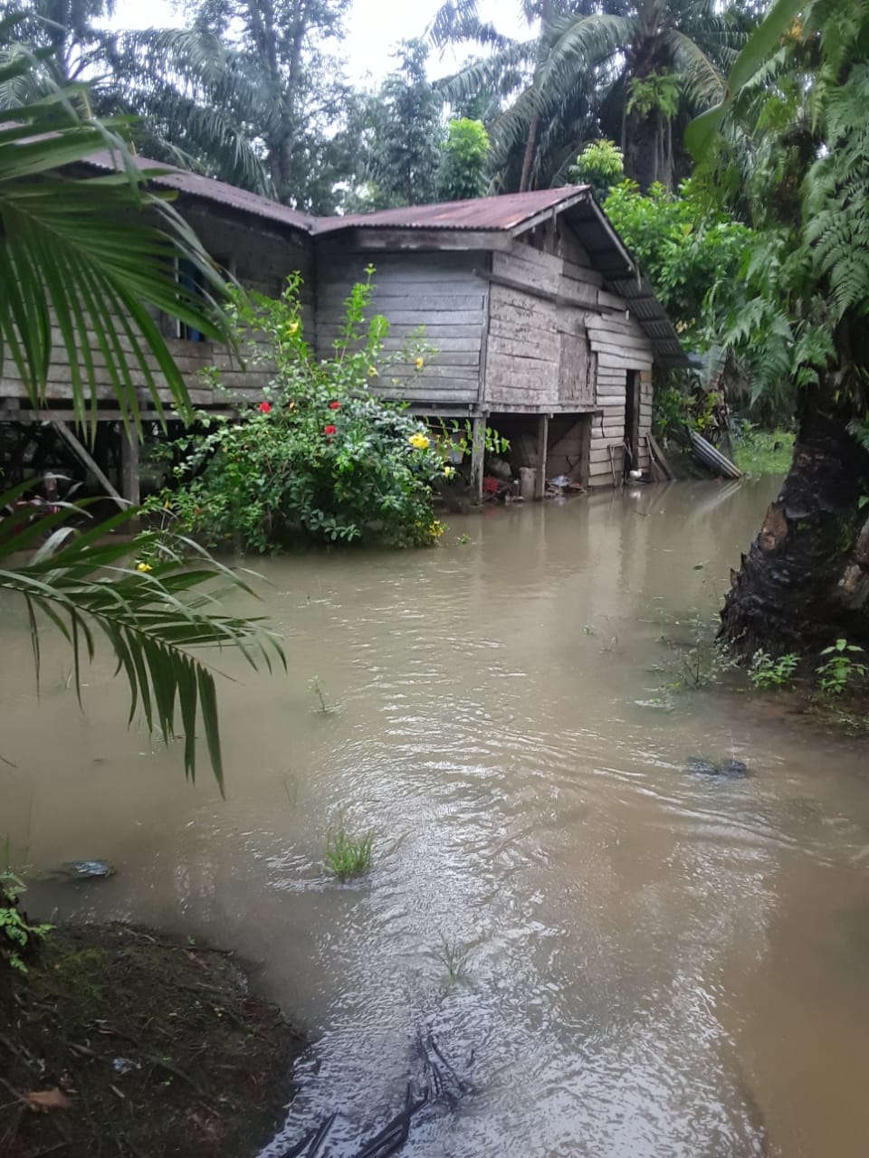 Pemukiman warga Kecamatan Sei Lepan Kab Langkat tergenang air , Kamis(18/11). beritasore/ist