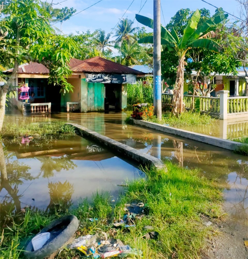 Salah satu rumah tergenang banjir di Desa Teluk Meku Kec. Babalan,  Langkat,  Selasa (30/8/2022). beritasore/ist