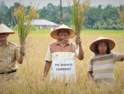 Plt Bupati Langkat: Mafia Pupuk Akan Kita Brantas
